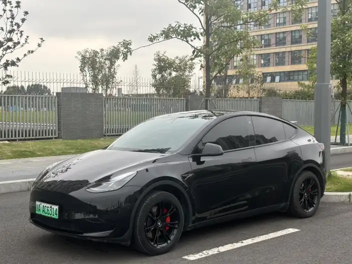 Model Y 2022 Model Facelift Rear-wheel drive version – фото 1