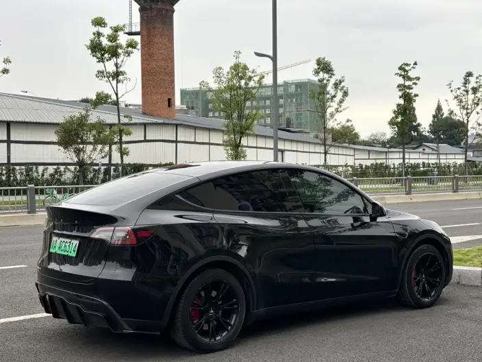 Model Y 2022 Model Facelift Rear-wheel drive version – фото 6