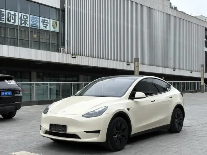 Model Y 2024 Model Rear-wheel drive version – фото 1