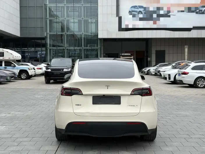 Model Y 2024 Model Rear-wheel drive version – фото 5