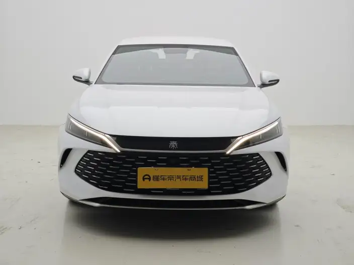 QinL DM 2024 Model DM-i 80KM Leading Model – фото 2