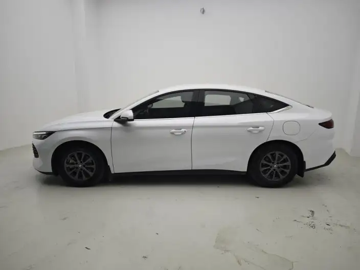 QinL DM 2024 Model DM-i 80KM Leading Model – фото 4