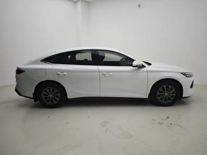 QinL DM 2024 Model DM-i 80KM Leading Model – фото 8