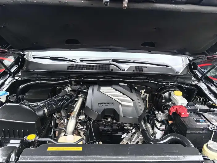 Ruiqi 6 2021 Model 2.3T Automatic 4WD Diesel Luxury Model M9T – фото 6