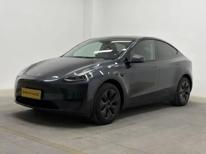 Model Y 2024 Model Rear-wheel drive version – фото 1