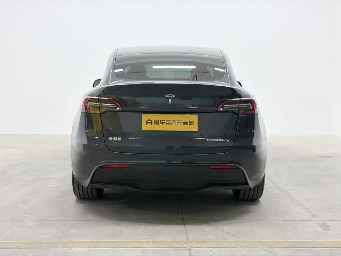 Model Y 2024 Model Rear-wheel drive version – фото 6