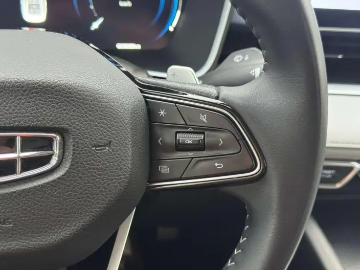 Geely StarRui 2023 Model 2.0T Noble Model – фото 9