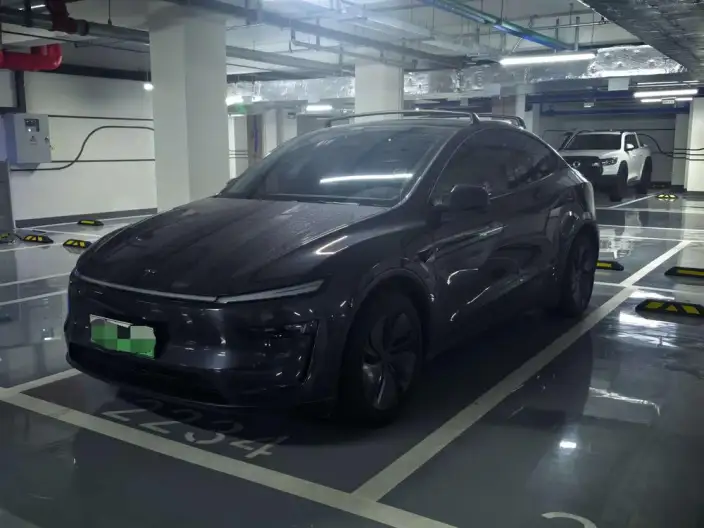 Model Y 2025 Model Rear-wheel drive version – фото 1