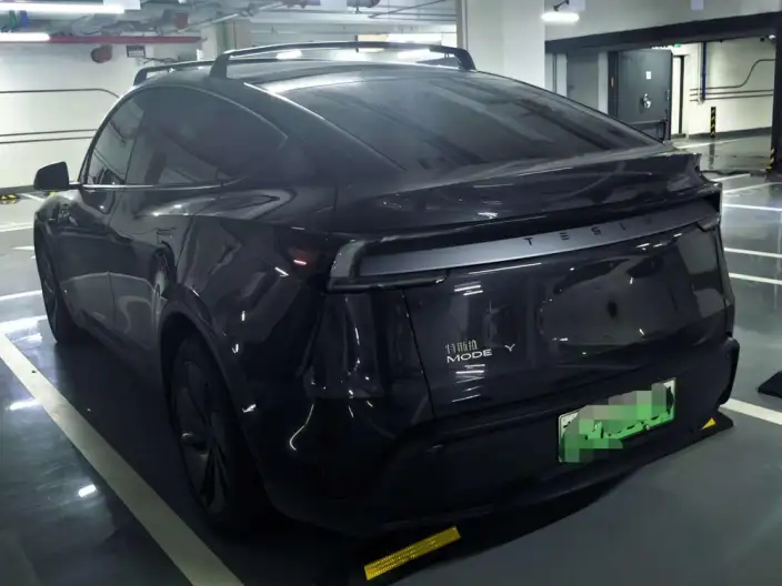 Model Y 2025 Model Rear-wheel drive version – фото 4