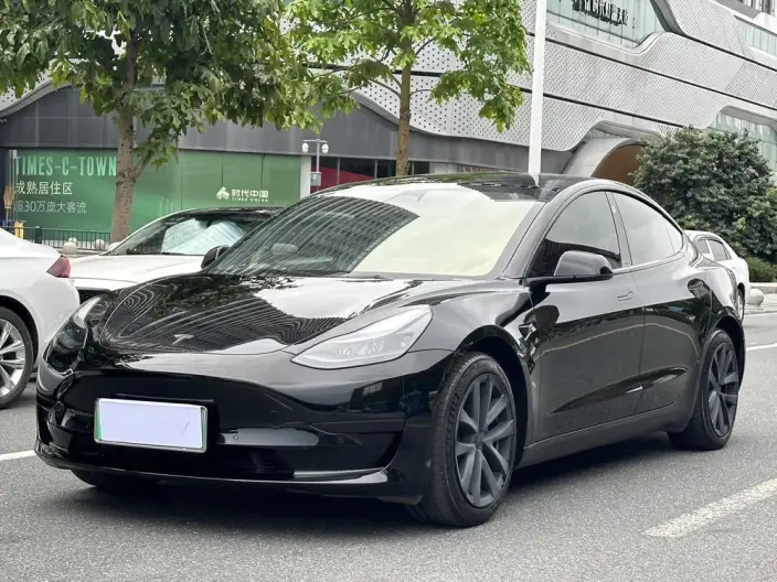Model 3 2022 Model Rear-wheel drive version – фото 1