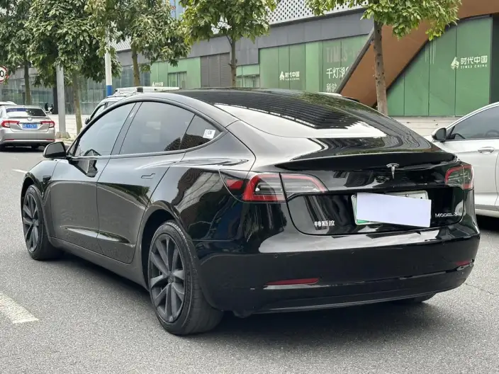 Model 3 2022 Model Rear-wheel drive version – фото 5