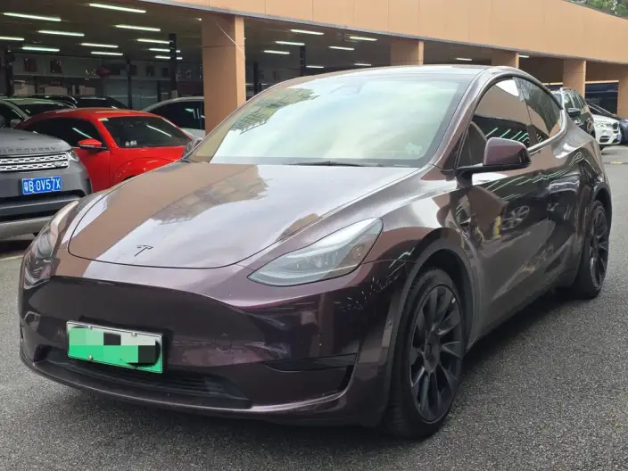 Model Y 2022 Model Rear-wheel drive version – фото 1
