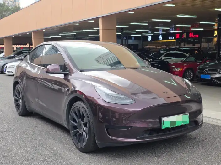 Model Y 2022 Model Rear-wheel drive version – фото 3