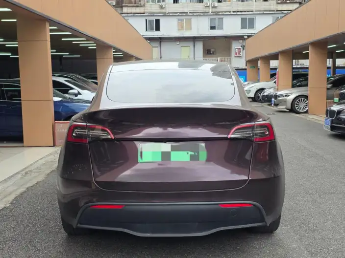 Model Y 2022 Model Rear-wheel drive version – фото 5