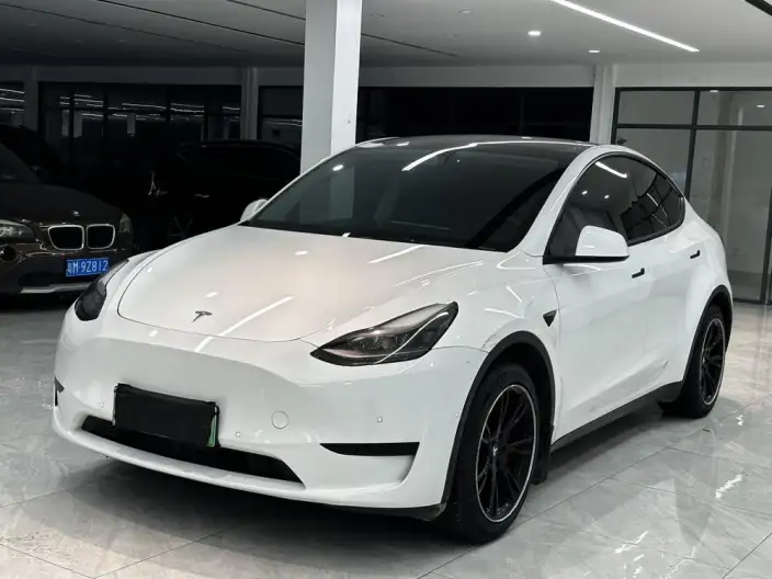 Model Y 2022 Model Rear-wheel drive version – фото 1