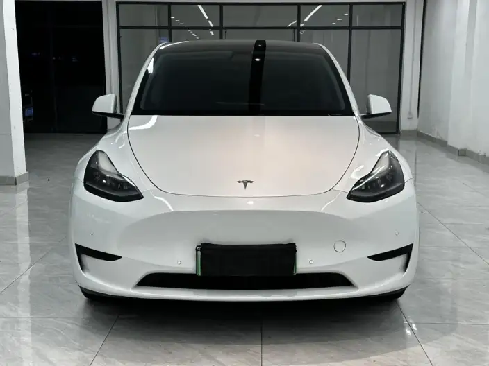 Model Y 2022 Model Rear-wheel drive version – фото 2