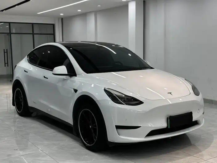 Model Y 2022 Model Rear-wheel drive version – фото 3