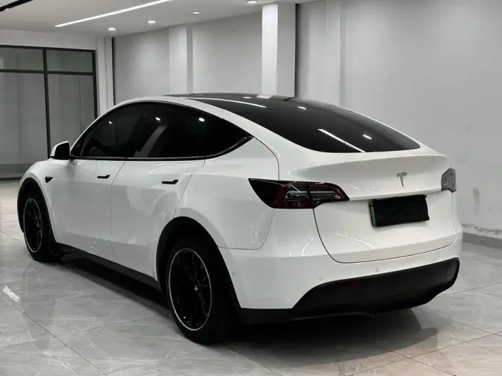 Model Y 2022 Model Rear-wheel drive version – фото 4