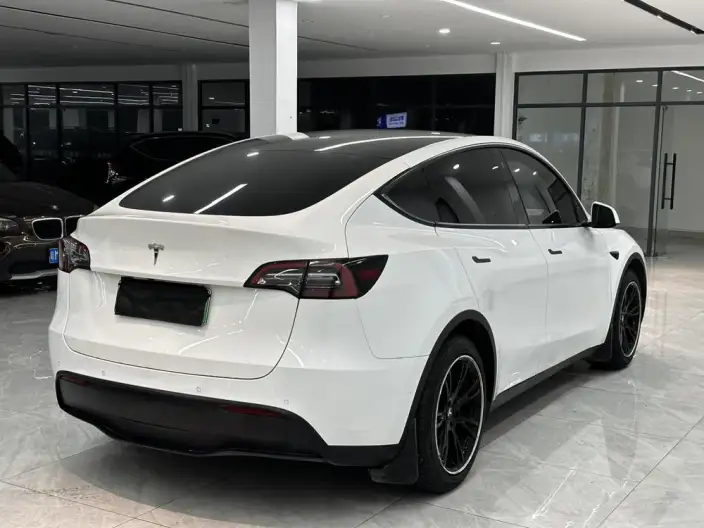 Model Y 2022 Model Rear-wheel drive version – фото 6