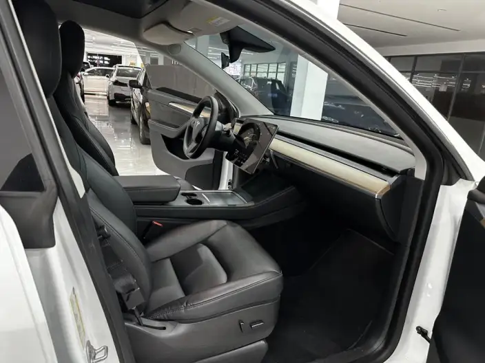 Model Y 2022 Model Rear-wheel drive version – фото 7