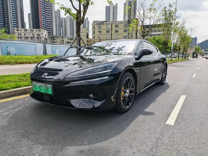 DENZA Z9GT DM 2024 Model 1100 4WD Max Edition