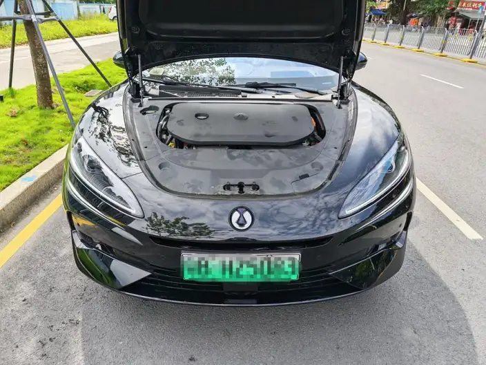 DENZA Z9GT DM 2024 Model 1100 4WD Max Edition – фото 6