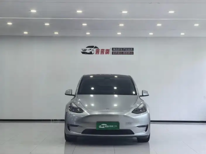 Model Y 2021 Model Performance High performance All-wheel drive version