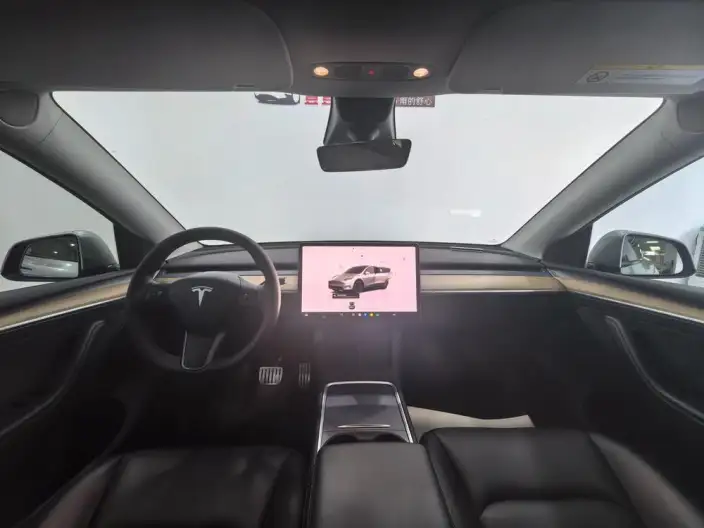 Model Y 2021 Model Performance High performance All-wheel drive version – фото 7