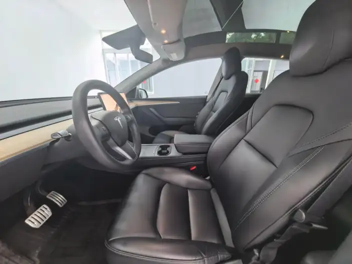 Model Y 2021 Model Performance High performance All-wheel drive version – фото 8