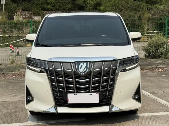 Elfa 2021 Model Hybrid 2.5L Premium Edition – фото 2