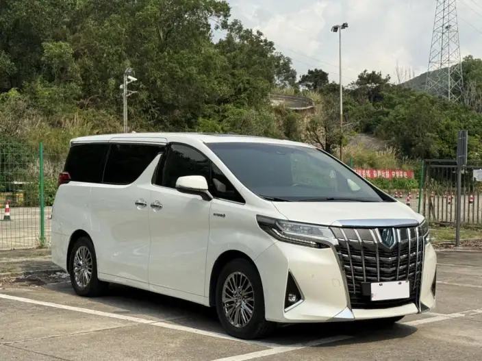 Elfa 2021 Model Hybrid 2.5L Premium Edition – фото 3