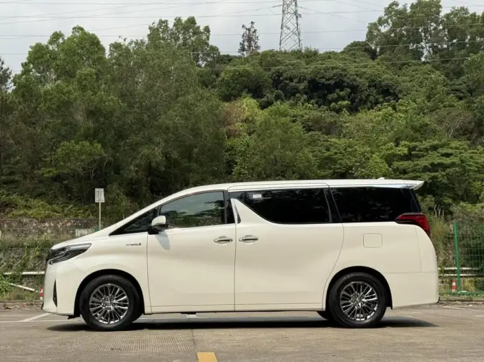 Elfa 2021 Model Hybrid 2.5L Premium Edition – фото 4