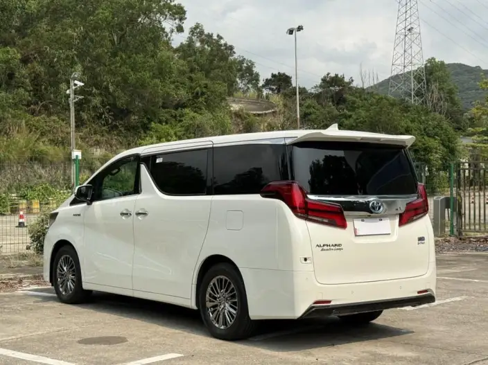 Elfa 2021 Model Hybrid 2.5L Premium Edition – фото 5