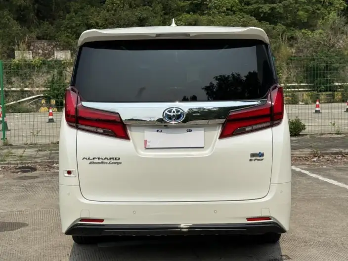 Elfa 2021 Model Hybrid 2.5L Premium Edition – фото 6
