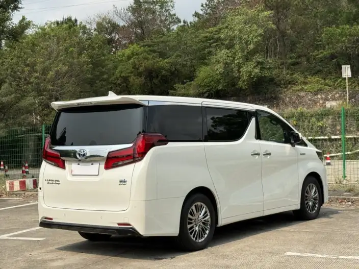 Elfa 2021 Model Hybrid 2.5L Premium Edition – фото 7