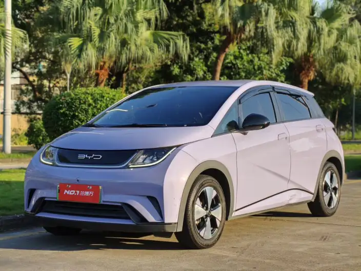 BYD Dolphin 2023 Model Free Edition