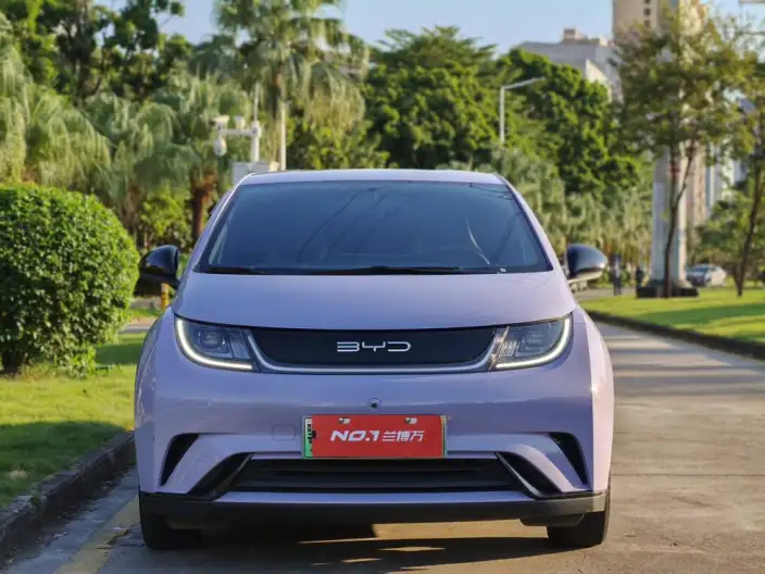 BYD Dolphin 2023 Model Free Edition