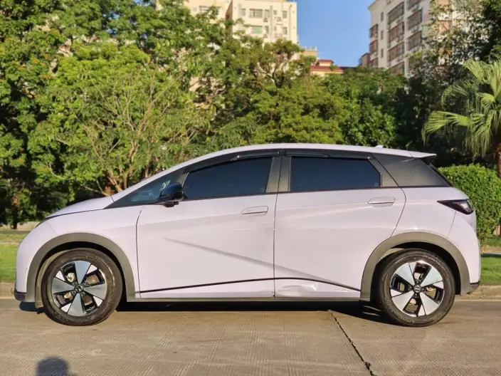 BYD Dolphin 2023 Model Free Edition