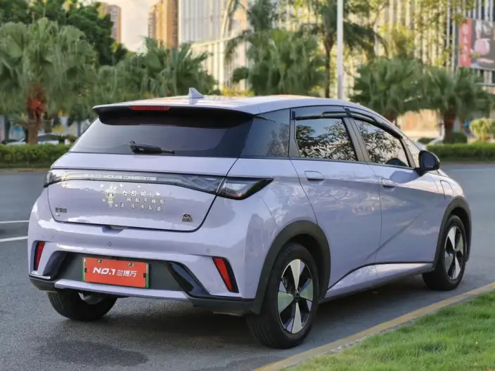 BYD Dolphin 2023 Model Free Edition – фото 7