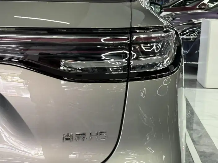 Sangyuan H5 2025 Model EV Pro – фото 7