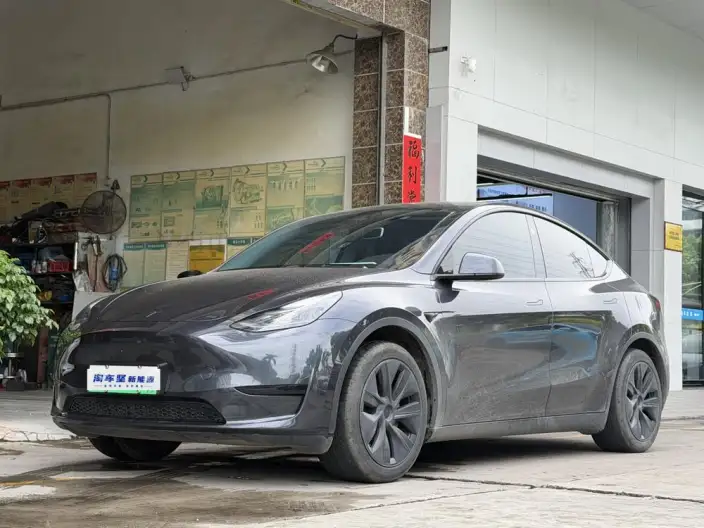 Model Y 2024 Model Rear-wheel drive version – фото 1