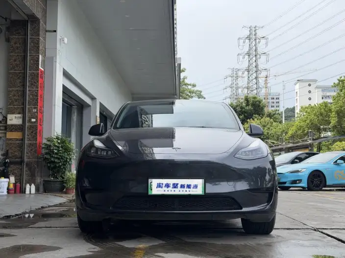 Model Y 2024 Model Rear-wheel drive version – фото 2
