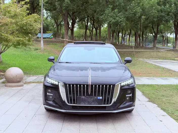 Hongqi H5 2023 Model 1.5T DCT Flag Rhythm Edition – фото 2