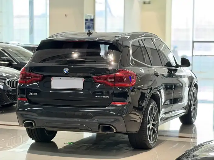 BMW X3 2020 Model xDrive30i Leading Model M Sports Set – фото 6