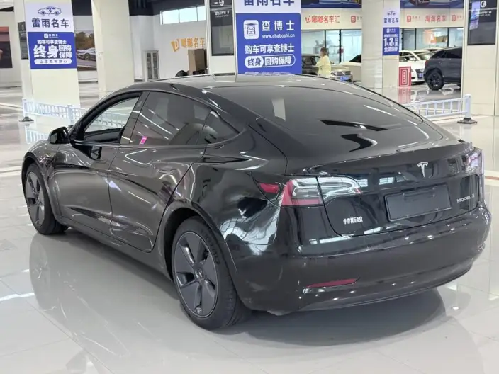 Model 3 2021 Model Standard Battery Life Rear Drive L Class Edition 3D6 – фото 4