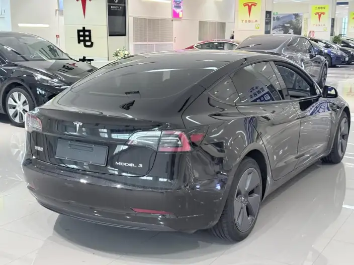 Model 3 2021 Model Standard Battery Life Rear Drive L Class Edition 3D6 – фото 6