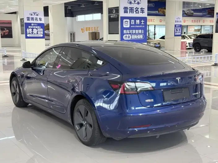 Model 3 2021 Model Standard Battery Life Rear Drive L Class Edition 3D6
