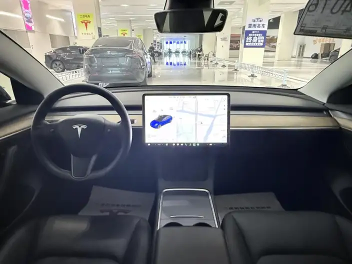 Model 3 2021 Model Standard Battery Life Rear Drive L Class Edition 3D6 – фото 9