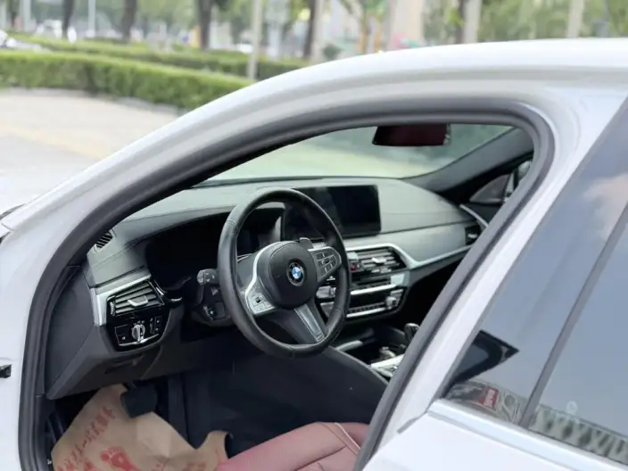 BMW 5 Series 2023 Model 530Li Leading Model M Sports Set – фото 10