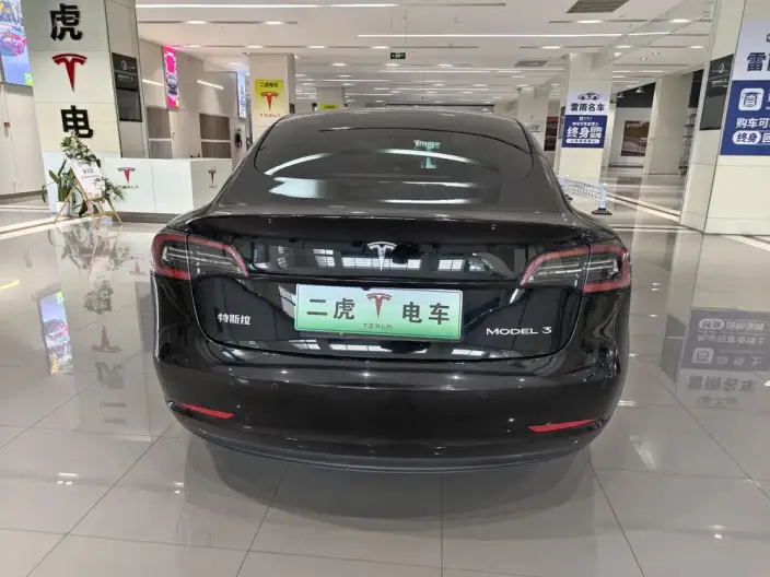 Model 3 2021 Model Standard Battery Life Rear Drive L Class Edition 3D1 – фото 5